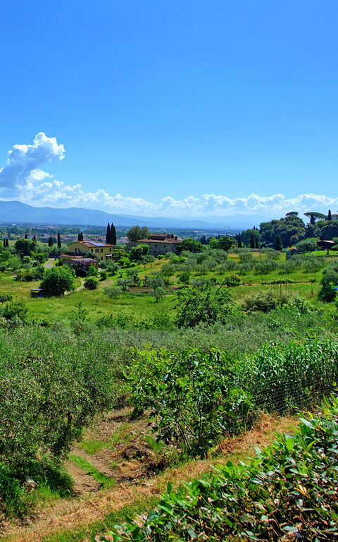 Villa Marusca: Udendørs, Udvendige, Visninger
