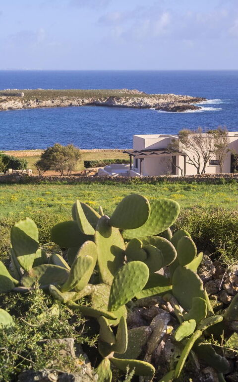 Tenuta Stornello: Have, Udendørs, Udvendige, Visninger