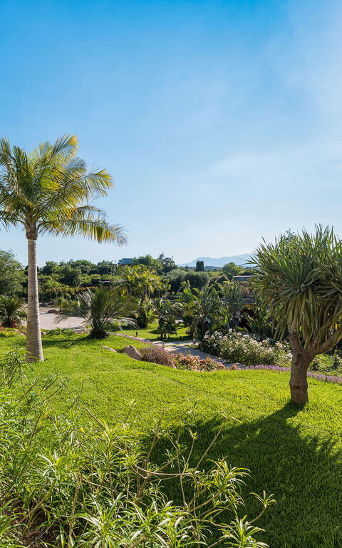 Villa Hermosa: Have, Udendørs, Udvendige