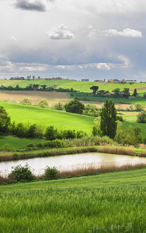 Villa la Contea: Have, Udendørs, Udvendige, Visninger
