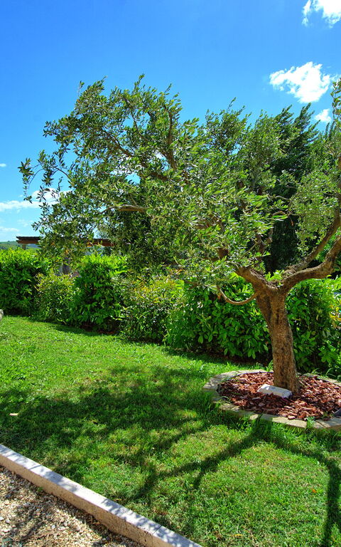 Borgo Ariano: Udendørs