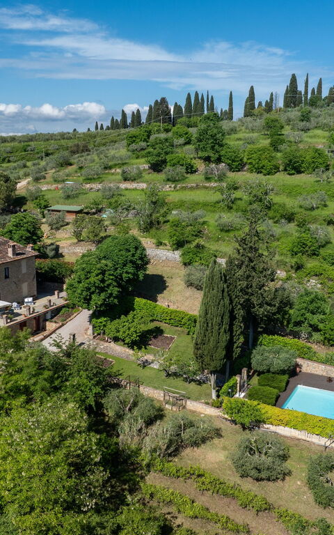 Tenuta Macericca: Visninger