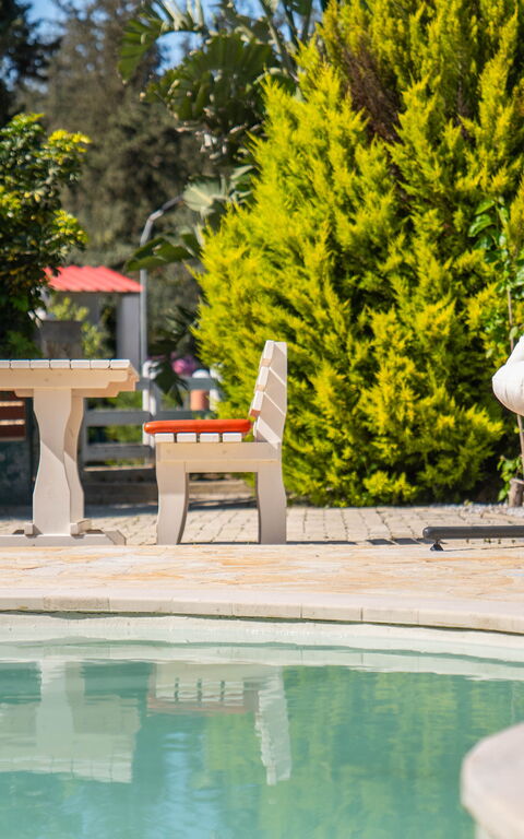 Villa Nikolas: pool, Udendørs, Udvendige