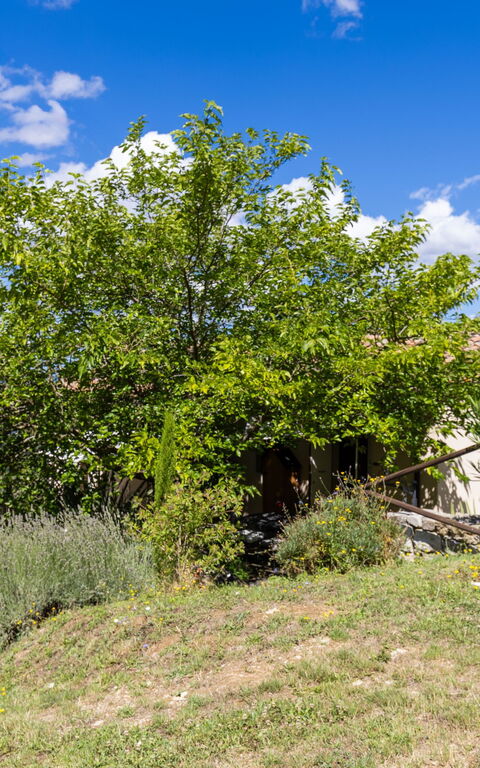 Villanova Lonciano - 2026: Have, Udendørs, Udvendige