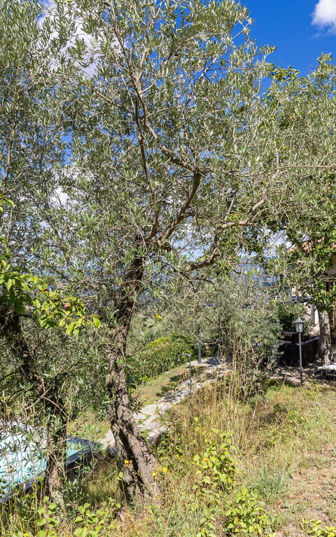 Villanova Lonciano - 2026: Have, Udendørs, Udvendige