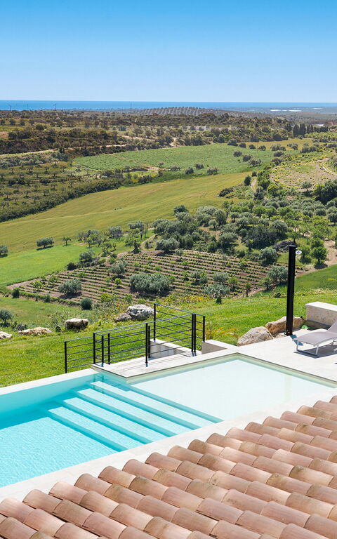 Netina Domus: Have, pool, Udendørs, Visninger