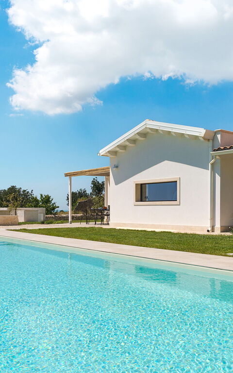 Netina Domus: Have, pool, Udendørs