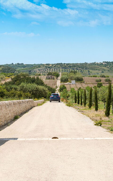 Netina Domus: Hovedindgang, Udendørs