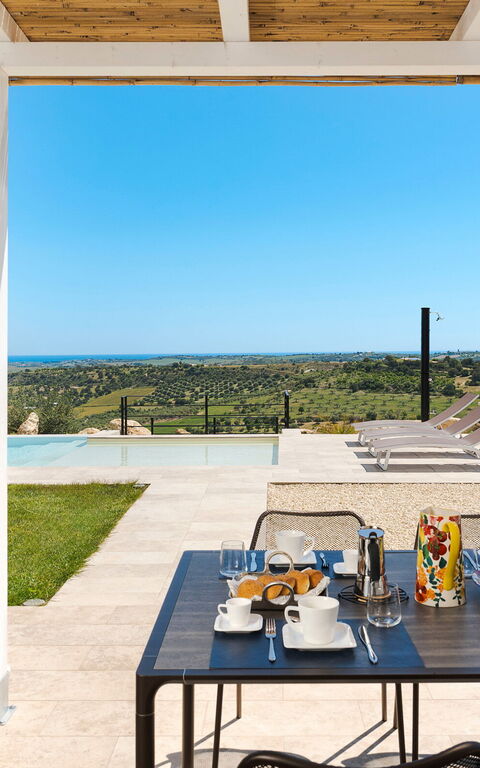 Netina Domus: Have, Udendørs, Visninger