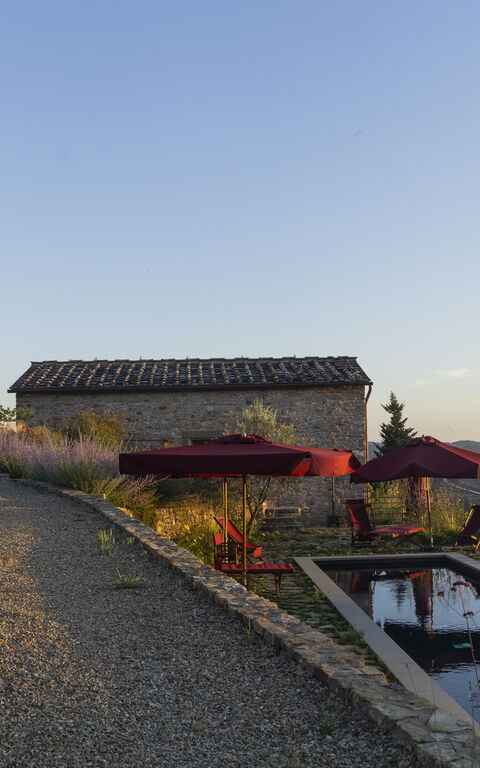Villa Tenuta Casenuove: Have, pool, Udendørs, Udvendige, Visninger