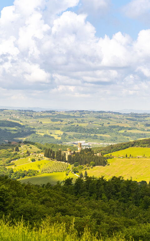 Villa Tenuta Casenuove: Visninger