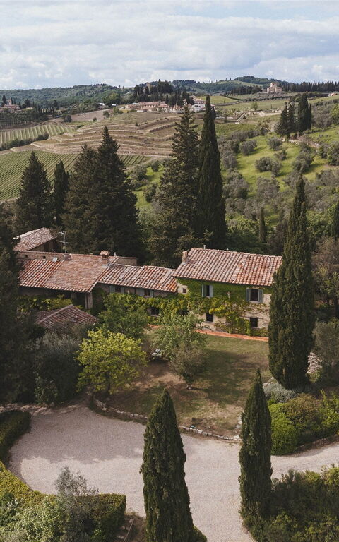 Podere Lupinati: Visninger