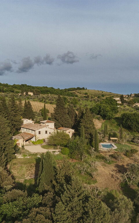 Podere Lupinati: Visninger