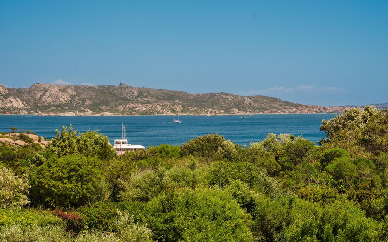 Villa Cala Serena: Visninger