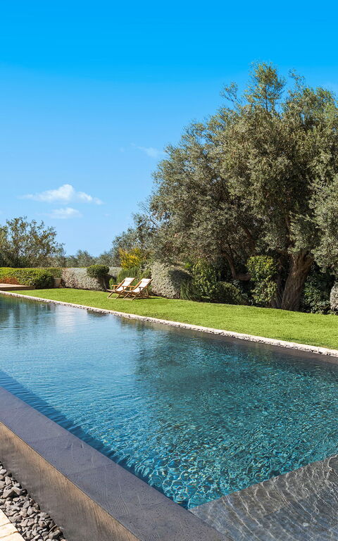 Domus Olivae: Have, pool, Udendørs, Udvendige