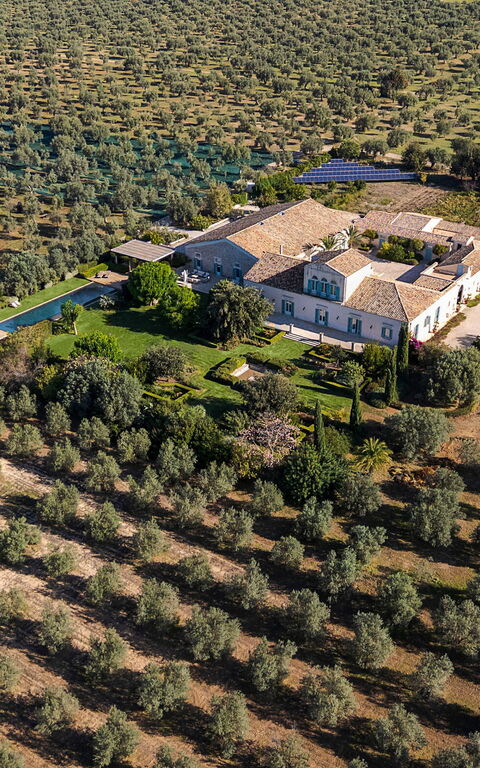 Domus Olivae: Visninger