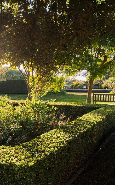 Domus Olivae: Have, Udendørs, Udvendige