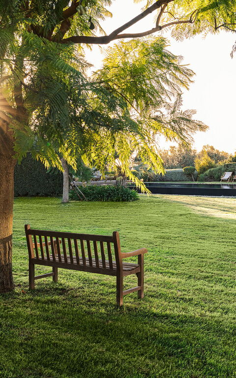 Domus Olivae: Have, Udendørs, Udvendige