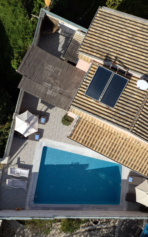 Doctor'S House: pool, Visninger