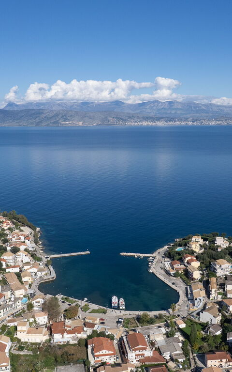 Doctor'S House: Visninger