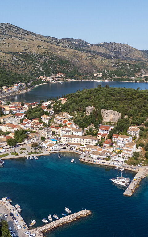 Doctor'S House: Visninger