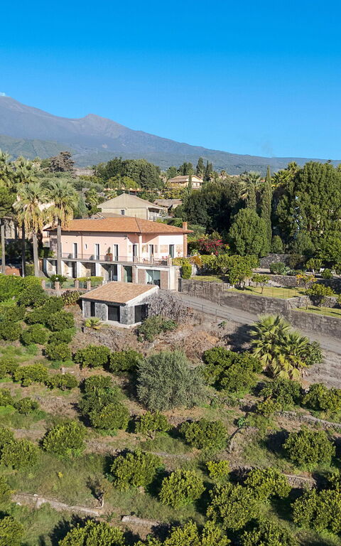 Villa Agrume: Visninger