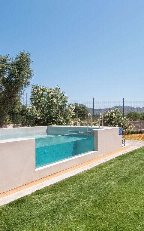 Magnolia: Have, pool, Udendørs