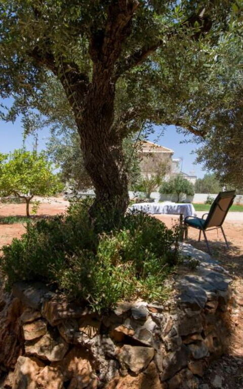 Magnolia: Have, Udendørs, Udvendige