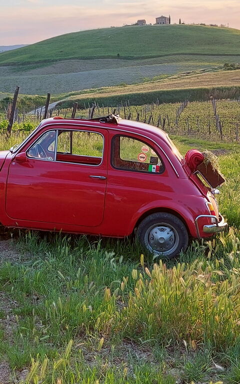 Podere Peteglia: Visninger