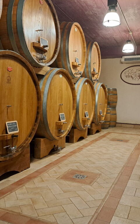 Podere Peteglia: Aktiviteter