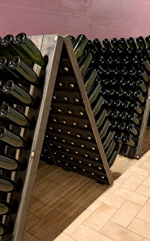 Podere Peteglia: Aktiviteter