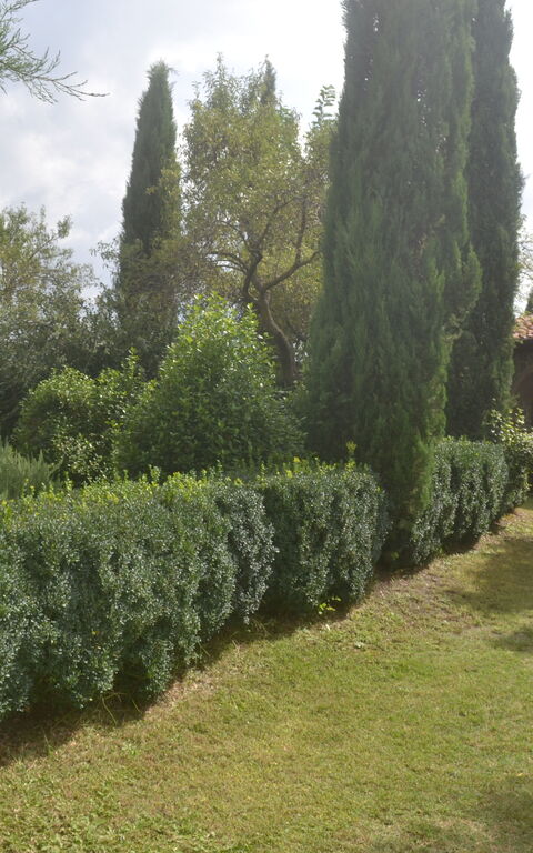 Podere Peteglia: Have, Udendørs, Udvendige