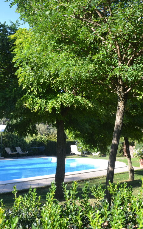 Podere Peteglia: Have, pool, Udendørs, Udvendige