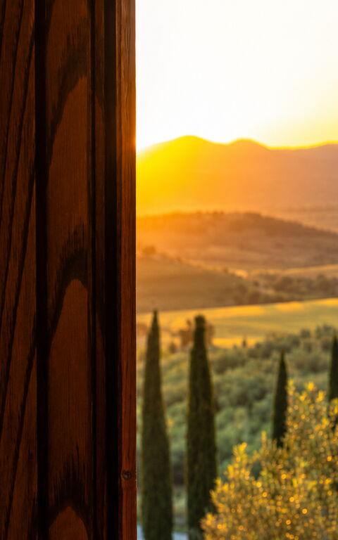Podere Peteglia: Visninger