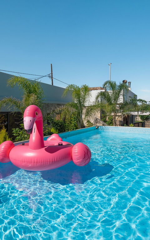 Villa Olympia: pool, Udendørs