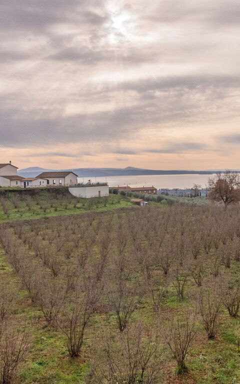 Tenuta Poggio Guiano: Visninger