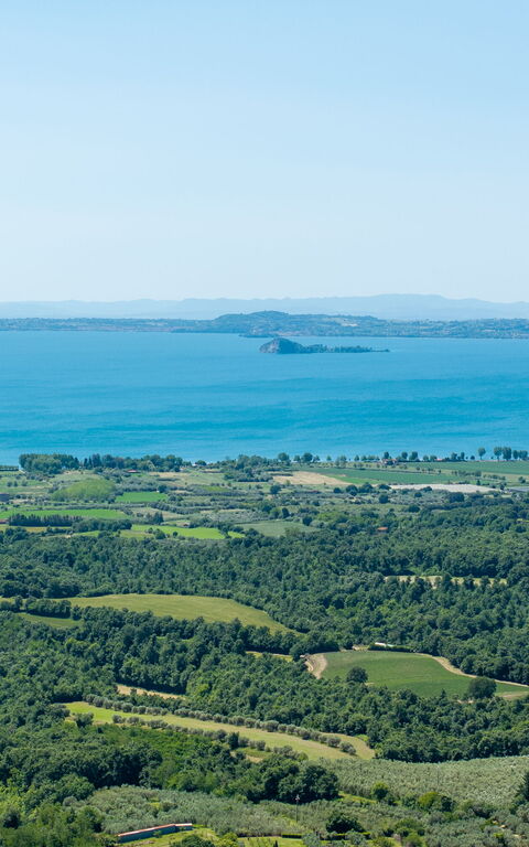 Tenuta Poggio Guiano: Visninger