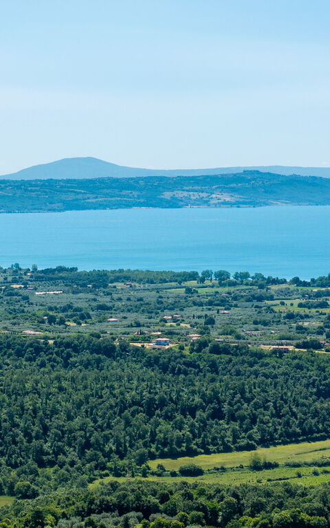 Tenuta Poggio Guiano: Visninger