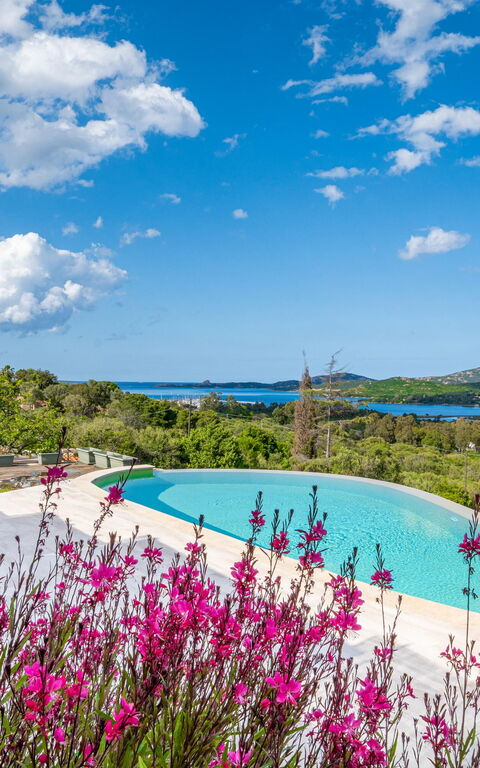 Villa Zephyros: pool, Udendørs, Udvendige, Visninger