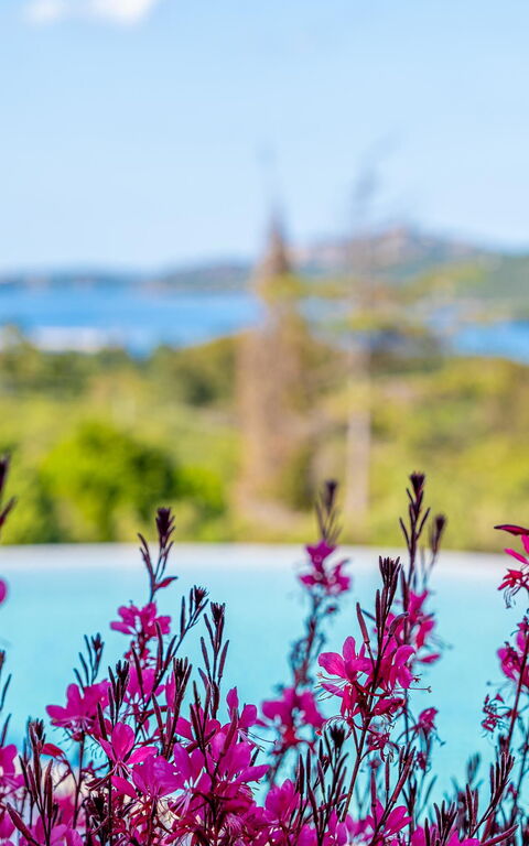 Villa Zephyros: pool, Visninger