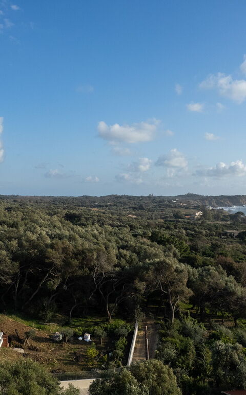 Villa Elais: Udendørs, Visninger