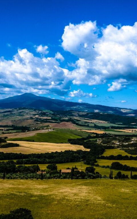 Podere i Prati: Visninger