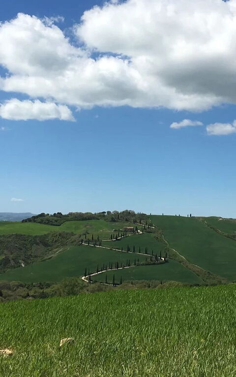 Podere i Prati: Visninger