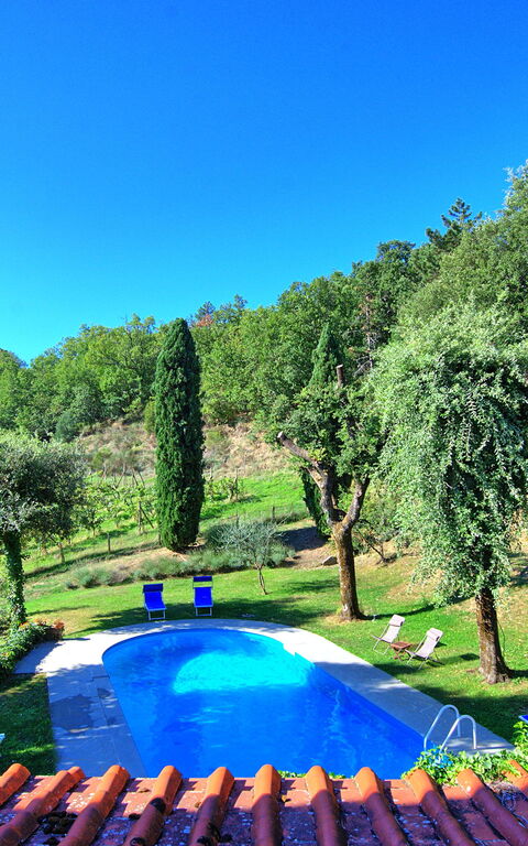 Villa Ulivacci: pool