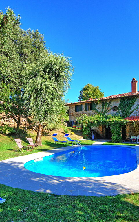 Villa Ulivacci: Have, pool, Sommer, Udendørs, Udvendige