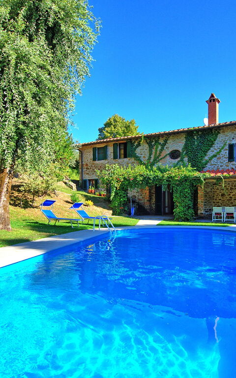 Villa Ulivacci: Have, pool