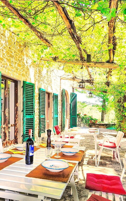 Villa Ulivacci: Udendørs