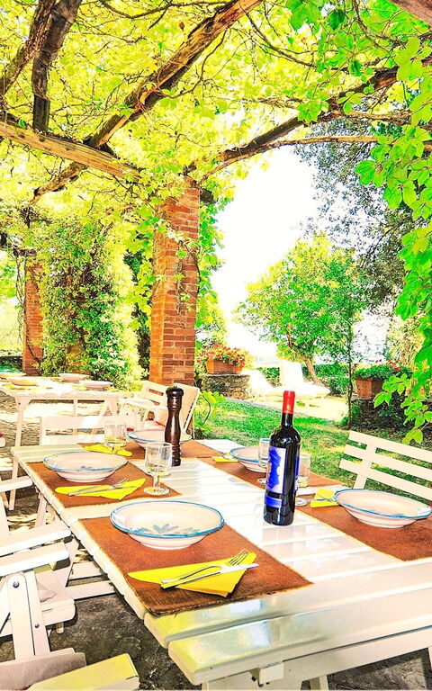 Villa Ulivacci: Udendørs