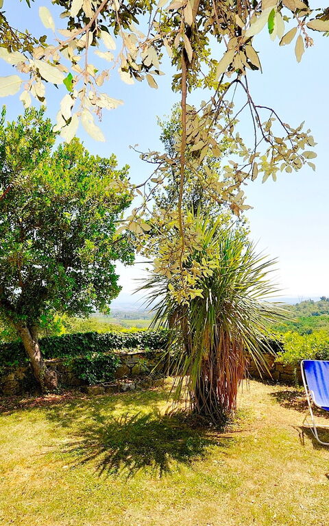 Villa Ulivacci: Have