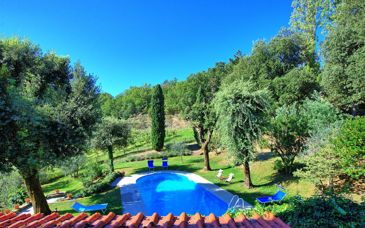 Villa Ulivacci: pool